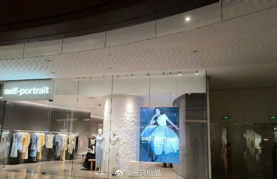 刘诗诗self-portrait刚官宣地广已铺，这速度好快啊。一姐地广富人刘诗诗