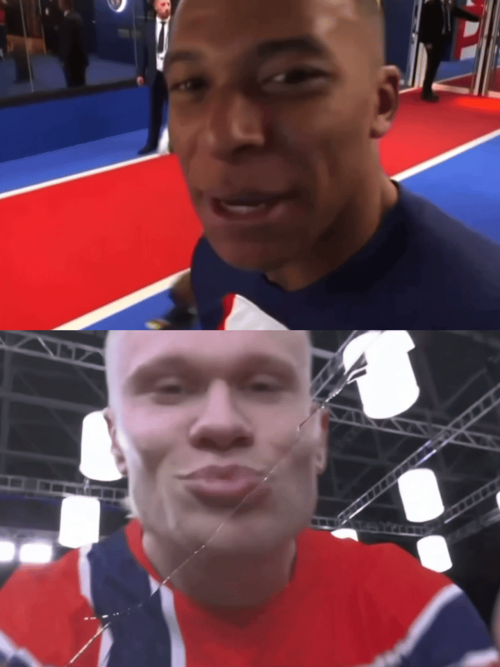 龟龟的cp怎么都这么好磕啊