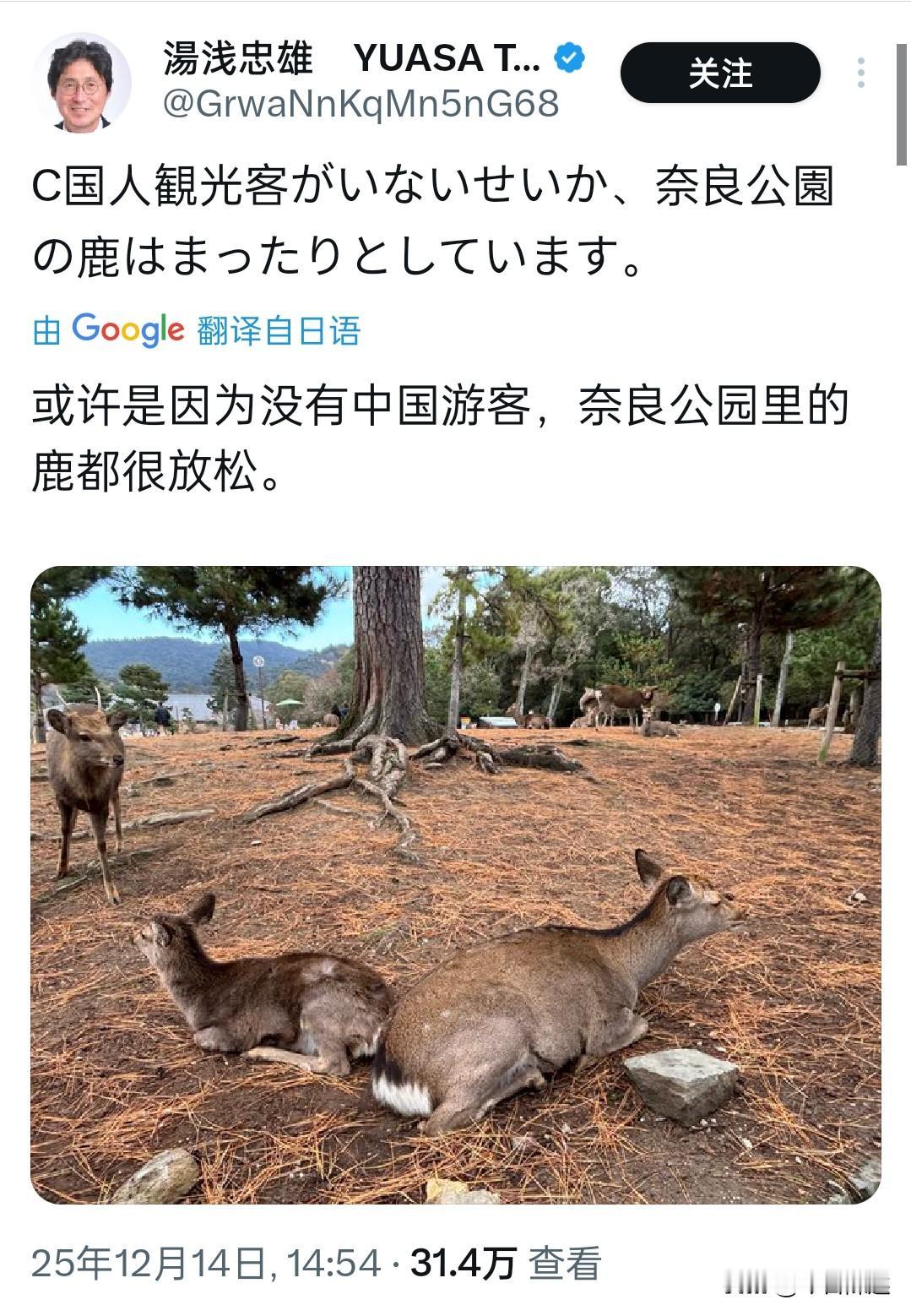 日本网红发帖称“没有中国游客奈良的鹿都放松了”

一名拥有近6万名粉丝的日本博主