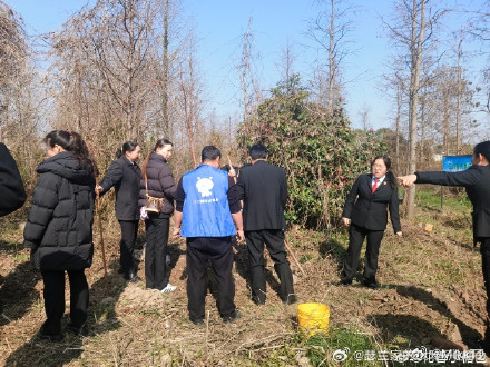 台州志愿者挥锹铲土为家园添新绿 春风催新绿，植树正当时。台州三门蛇蟠乡植树活动火