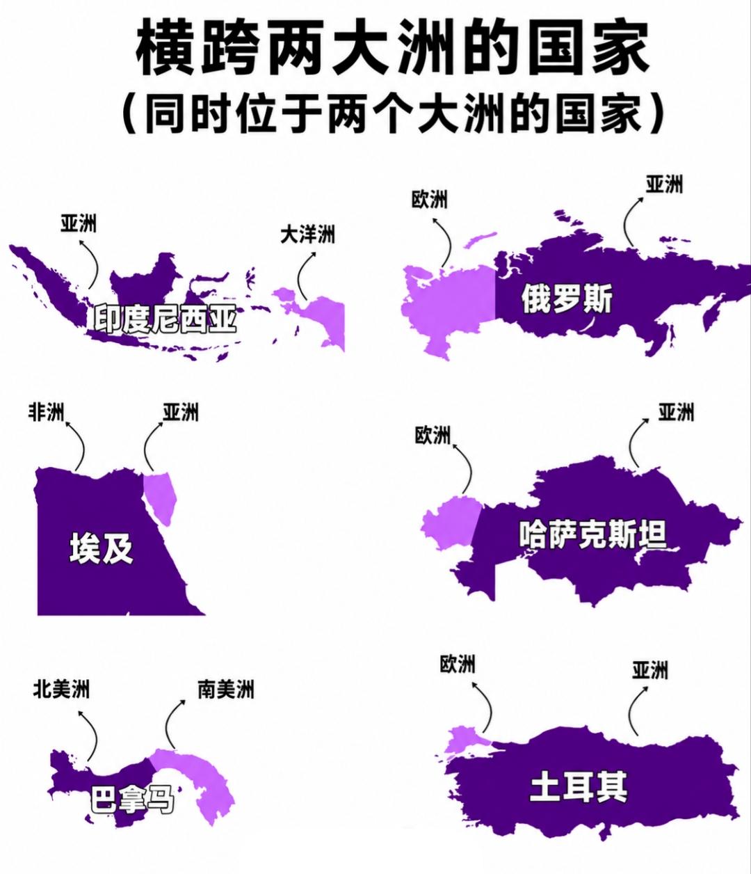从地理上，这几个国家同时拥有两大洲领土。大多数是陆路相连的跨洲国家。而印度尼西亚