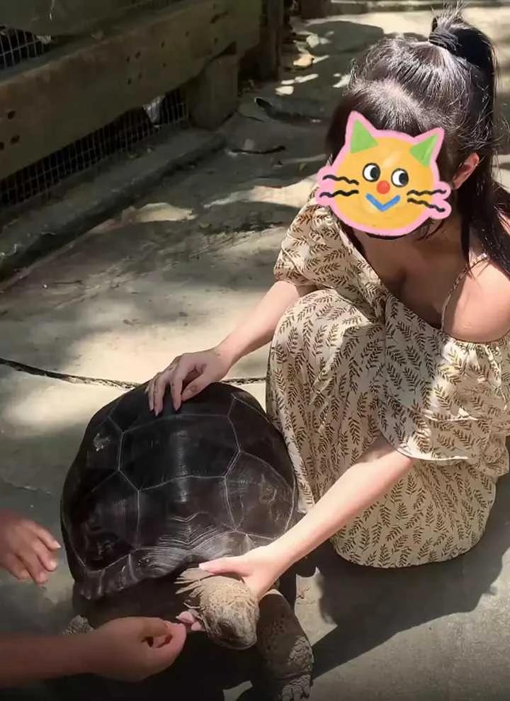 女子来回套弄乌龟的头，动作熟练让男友兴奋，要求回家依葫芦画瓢

伴侣之间信任至关