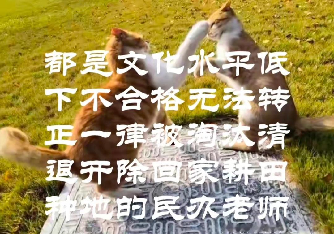 人们在田地里就见到了发光的金子——被开除回家耕田种地的民办老师。