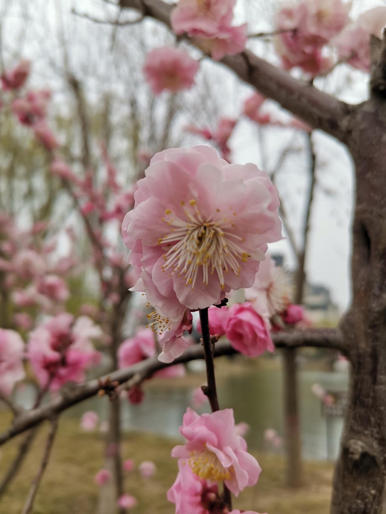 现在大家都喜欢拍照打卡，我觉得背后其实是为了证明自己曾经也来过！