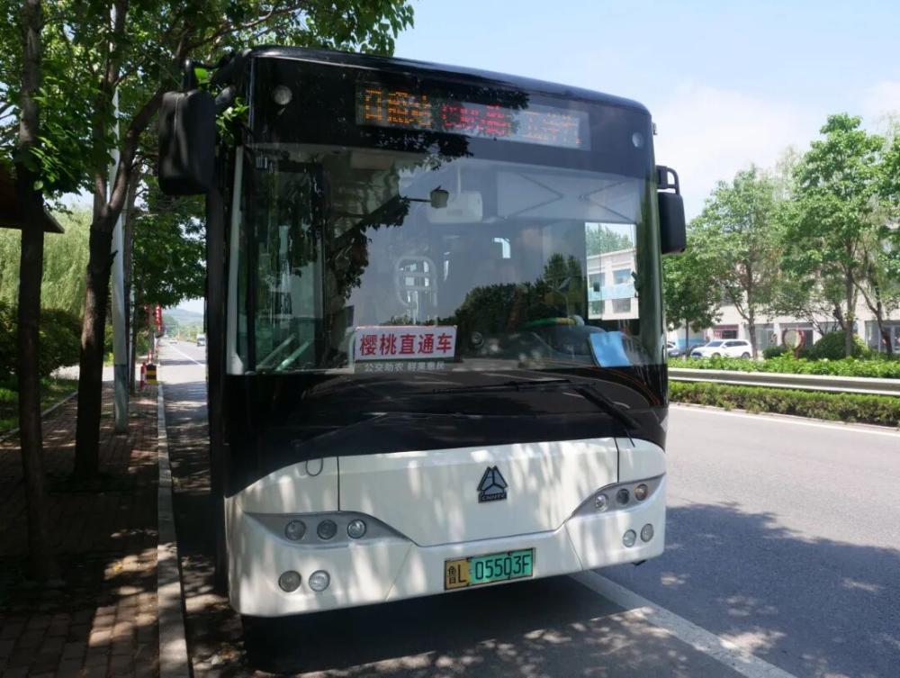 一张3元的车票，改变了日照樱桃的“出山路”。
近日，日照公交“樱桃专线”暖心开行