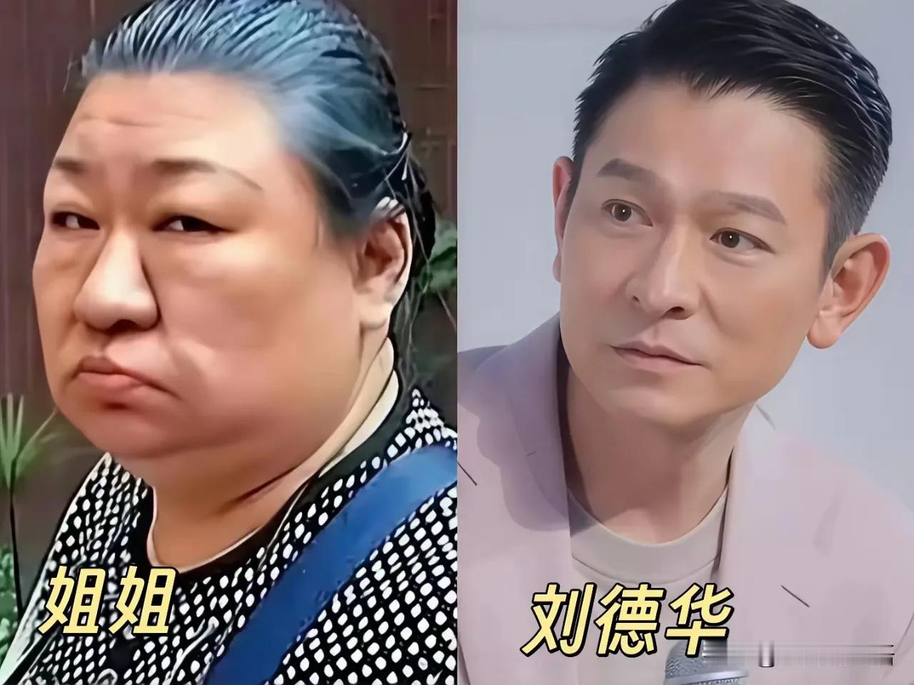 莫文蔚有一个帅气的哥哥。
陈凯琳有一个帅气的弟弟。
林青霞有一个美丽的姐姐。
钟