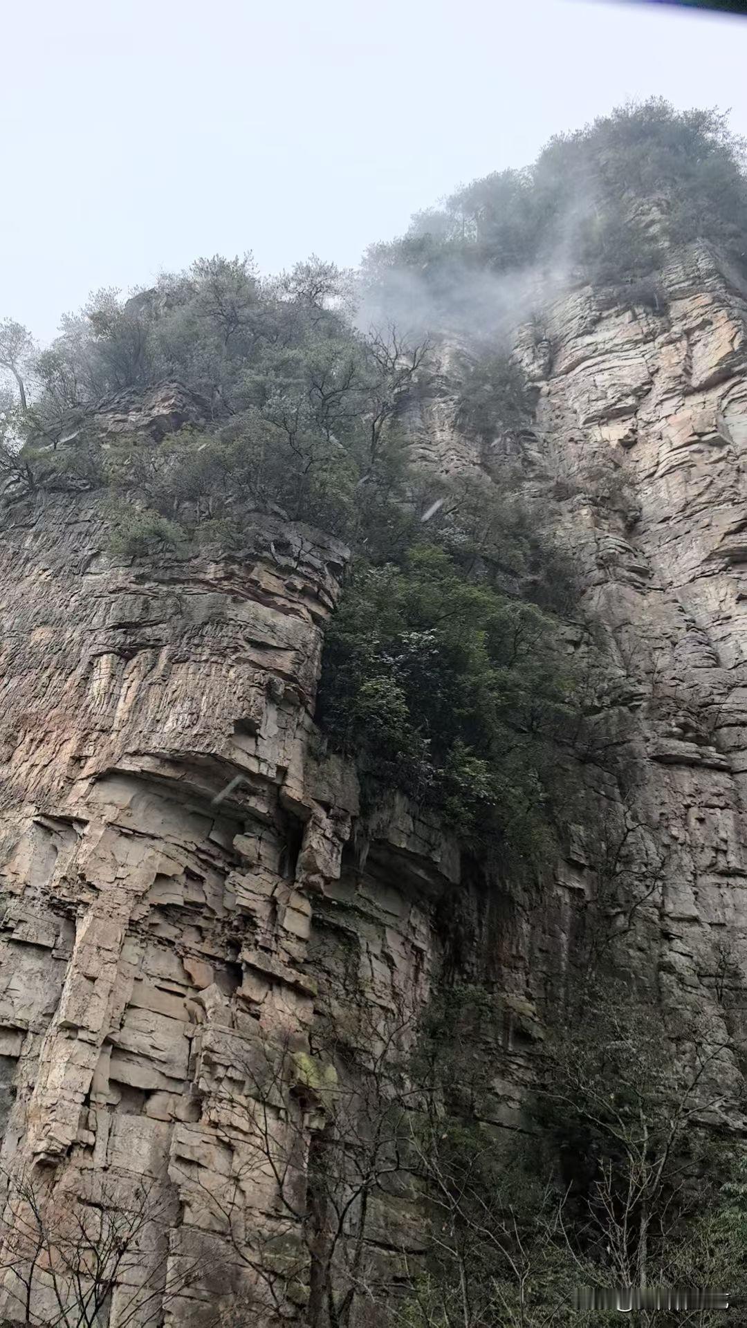 今年冬天的不同崖壁层叠着皴裂石纹，几丛绿植嵌在缝隙里，山雾裹着湿意漫过顶，连风都