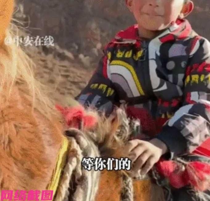 青海有名男子在看完一部电视剧名为《生命树》，于是男子便想亲自来青海体验一下当地的