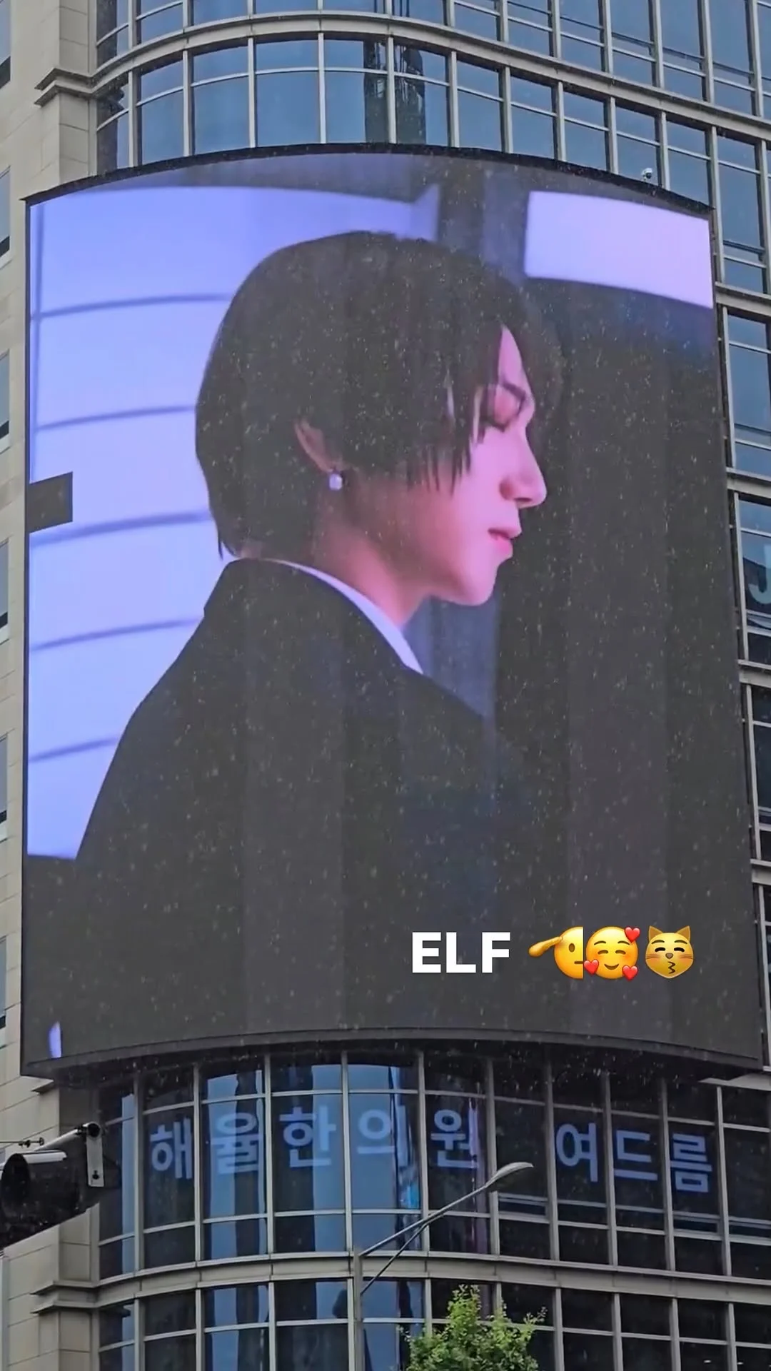 ELF🫡🥰😽