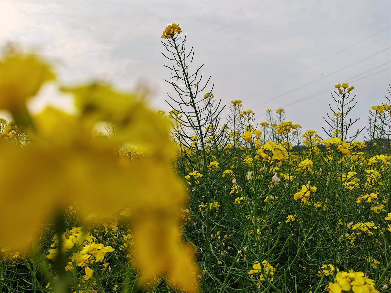 分享一下你随手拍下的照片