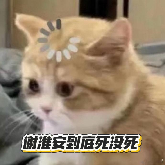 长安二十四计超点价位 《长安二十四计》大结局的质感真的没话说，角色成长了，剧情也