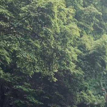 通常情况下，人应该多反思，检查自己是否有缺点。总的来说，朝北的方位具有一种学者气