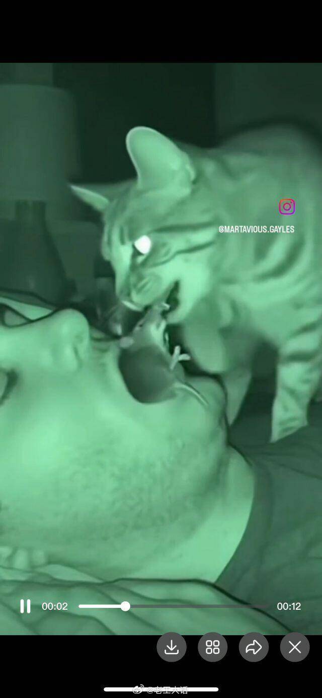 爵士豪茂 ​​​