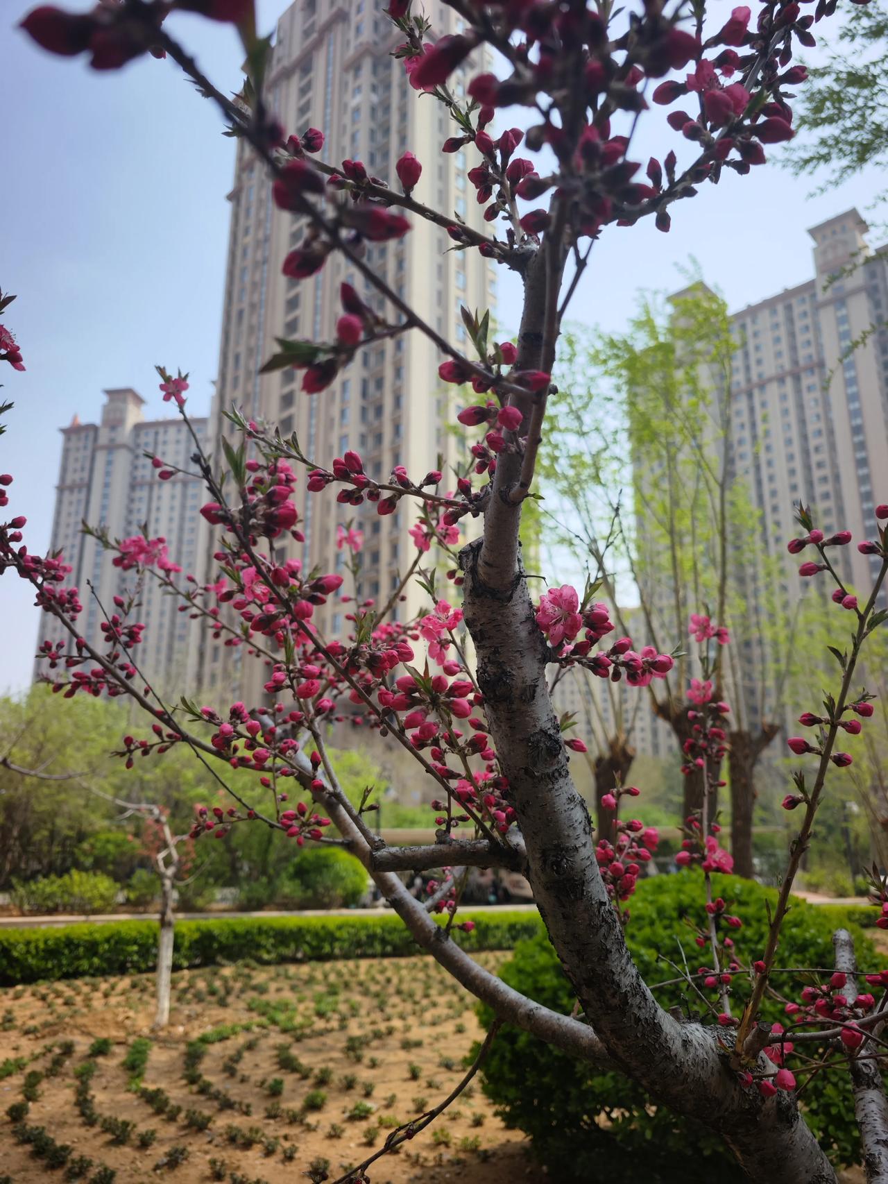 国台办表态，台湾省回归大陆后，国家将投入资金，对台湾省的老旧小区进行改造，对老房