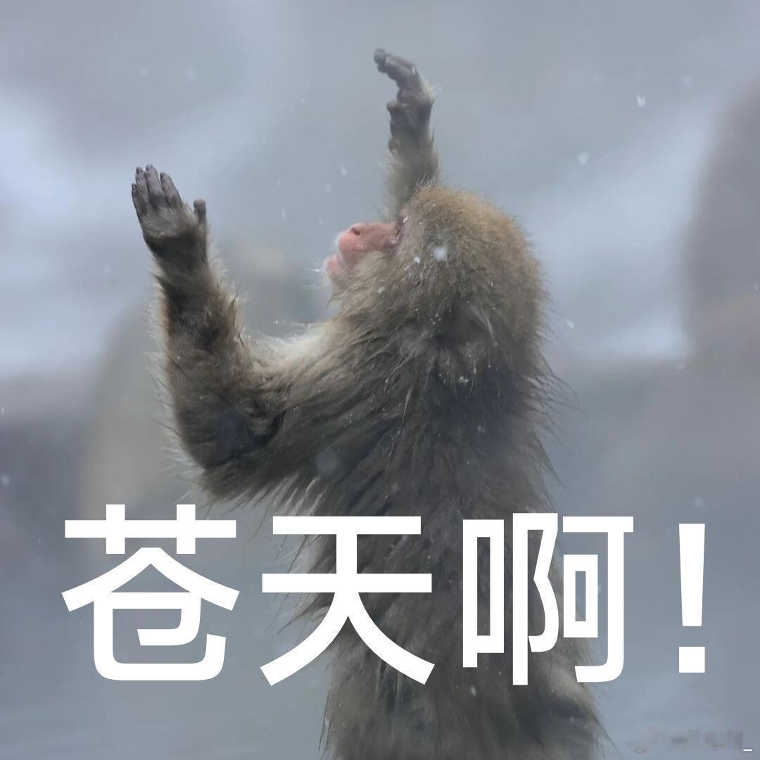 最尊重猴的剧组出现了 不少观众看完吗喽的剧情纷纷感慨，终于有影视作品看见普通打工