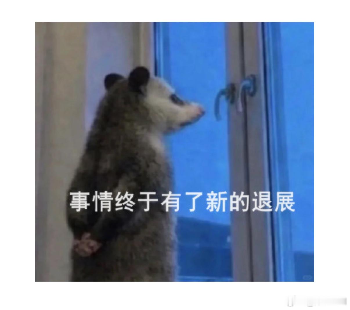 早上坏🙉🙉🙉🙉🙉🙉🙉🙉🙉🙉🙉🙉🙉🙉🙉🙉🙉🙉?