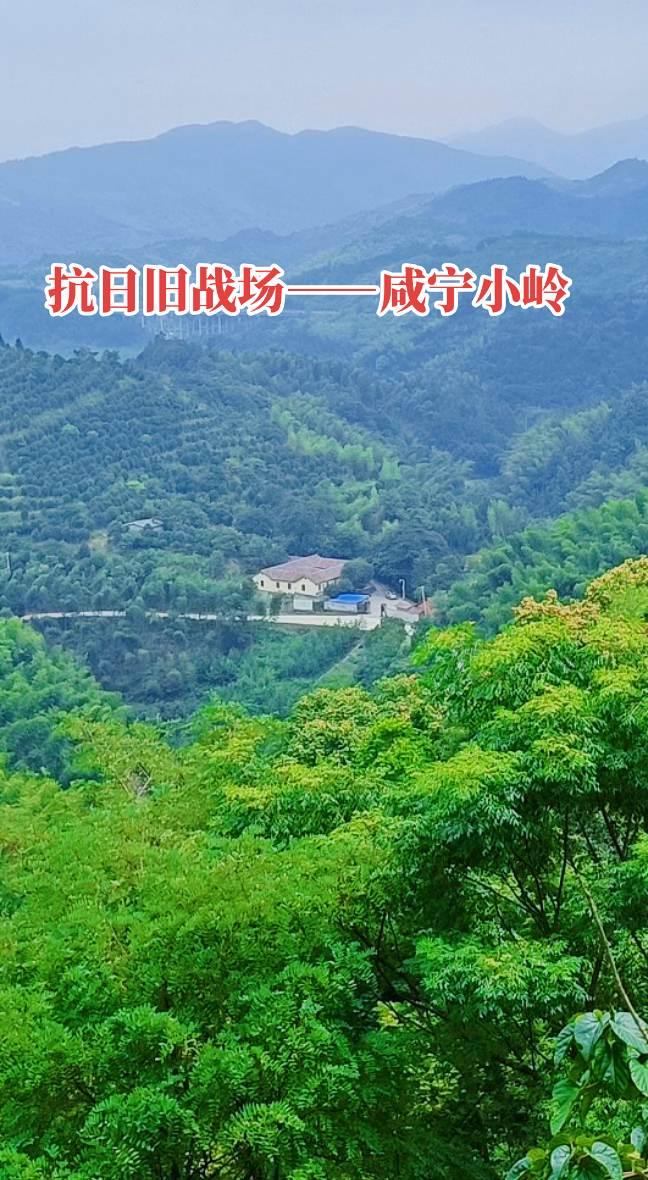 小岭，在咸宁桂花镇苏家坊村与崇阳县路口镇田心村交界处，自古以来是兵家必...