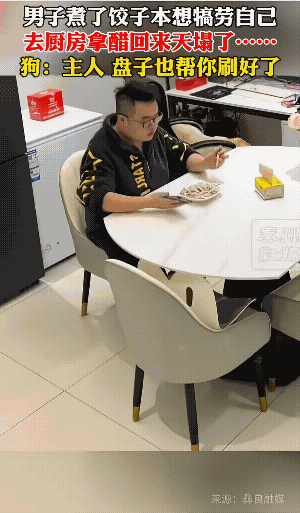 主人端上来一碟饺子，刚想开吃，却忘记了拿蘸汁，一转身，台下的狗狗看准了机会，一跃