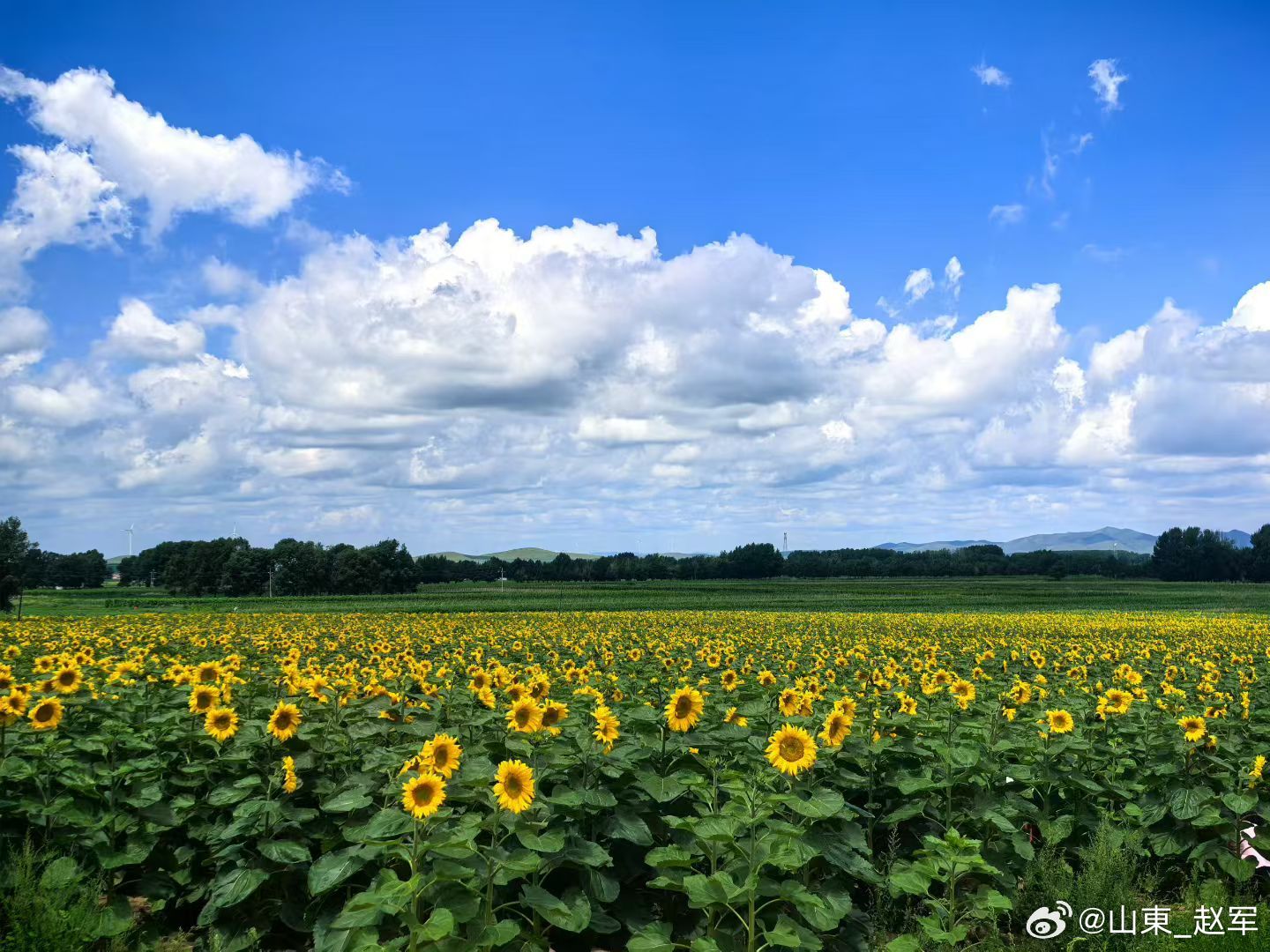 小儿荨麻疹在中医多属“瘾疹”范畴，常与“风邪”“湿邪”“脾虚”相关。小儿脾胃娇嫩