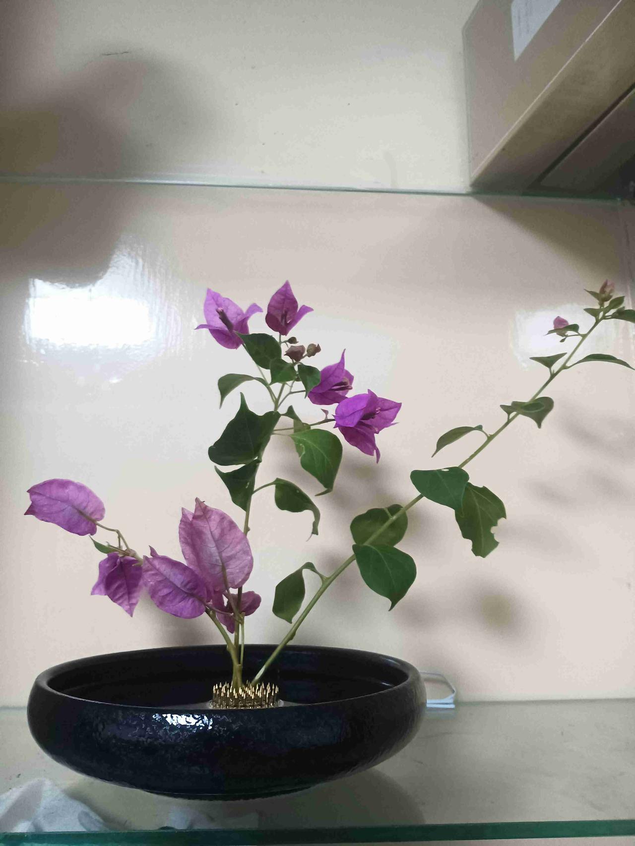 我的今日状态：😁轻松愉快
我这里的天气：☀️晴天