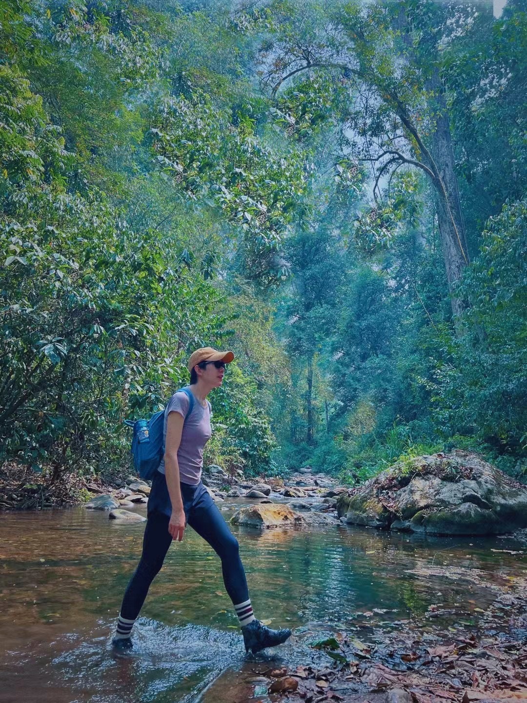 🏞️🌴西双版纳玉林徒步！户外浓人的雨林之旅，人少如仙境在西双版纳游玩，不想人