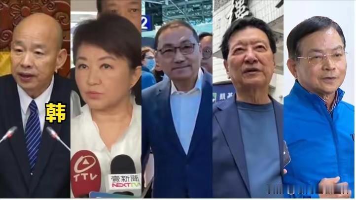 蓝军五大寇哪几个名副其实？最近绿方名嘴给蓝营的五个重量级人物带了顶帽子，合称“蓝