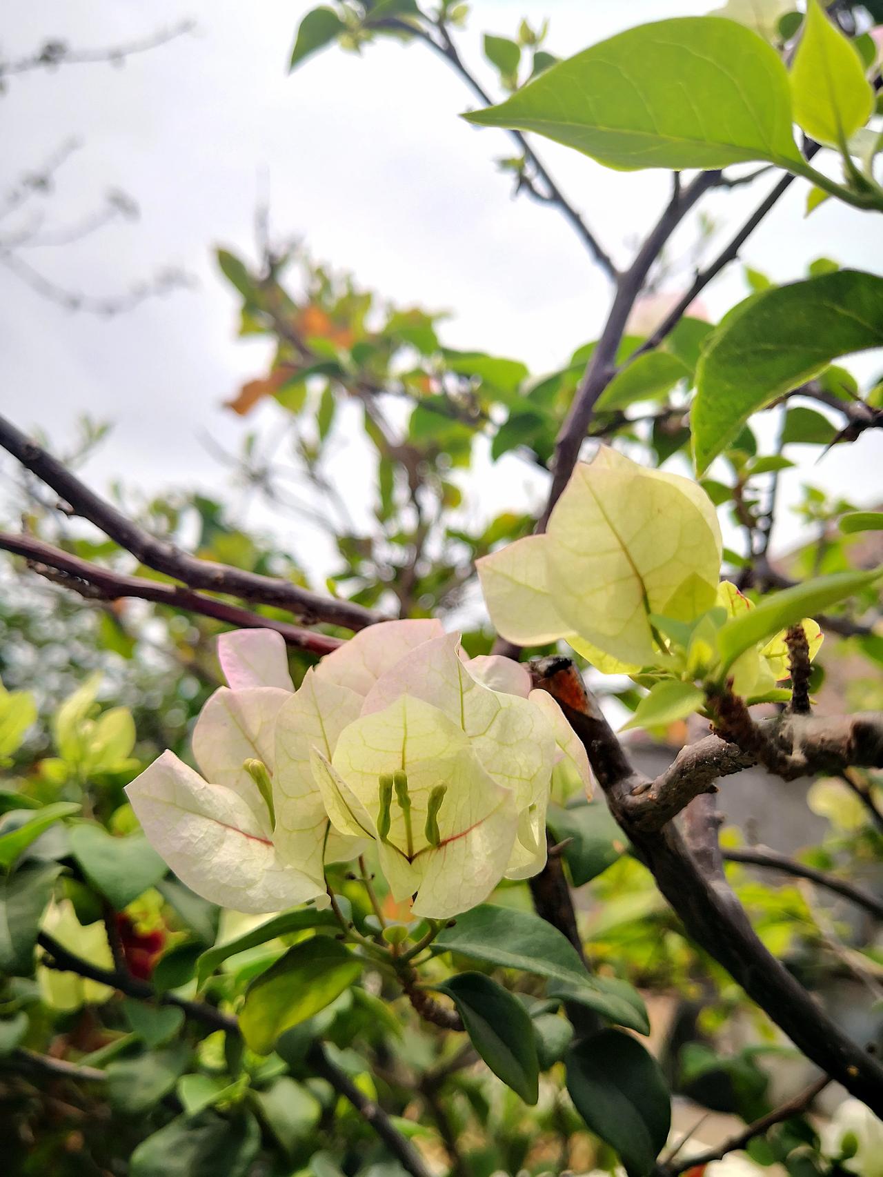 人这辈子有很多不开心的事情，但也有好事情！坏事你可能记一辈子，好事过了你就忘了。