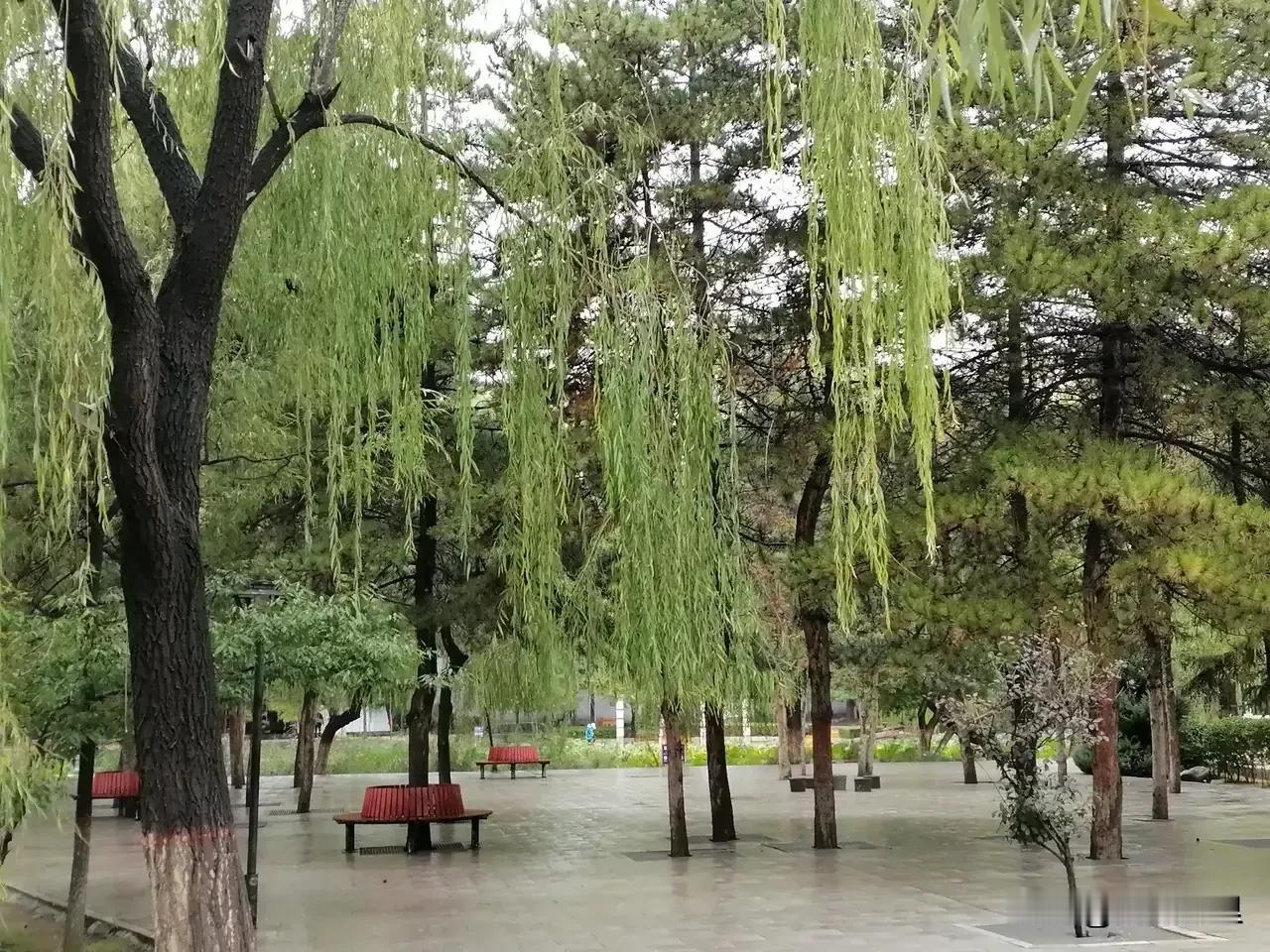 老照片
2024 10 26
今日绵阳阴雨天，
倚床闲翻老照片。
呼市畅游满都海