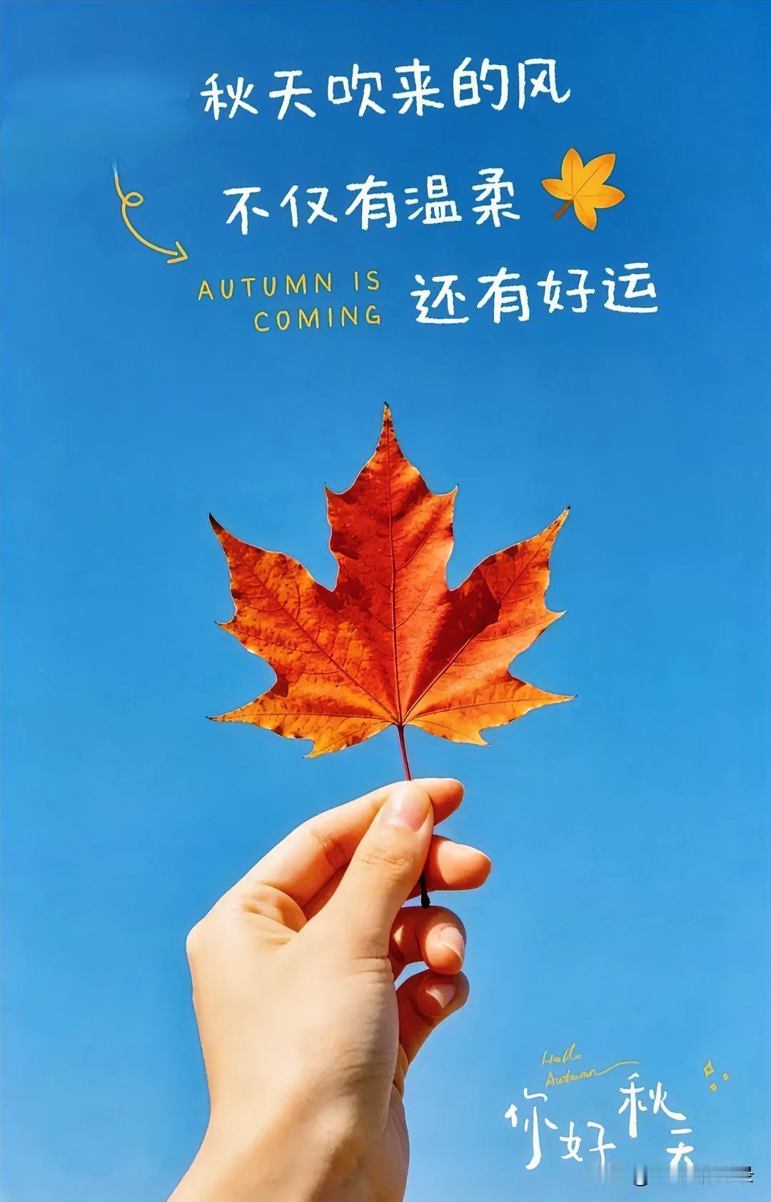 它像一首缓缓流淌的岁月之歌，藏着半生沉淀下来的感悟。过往那些纠缠于心的是非、格格