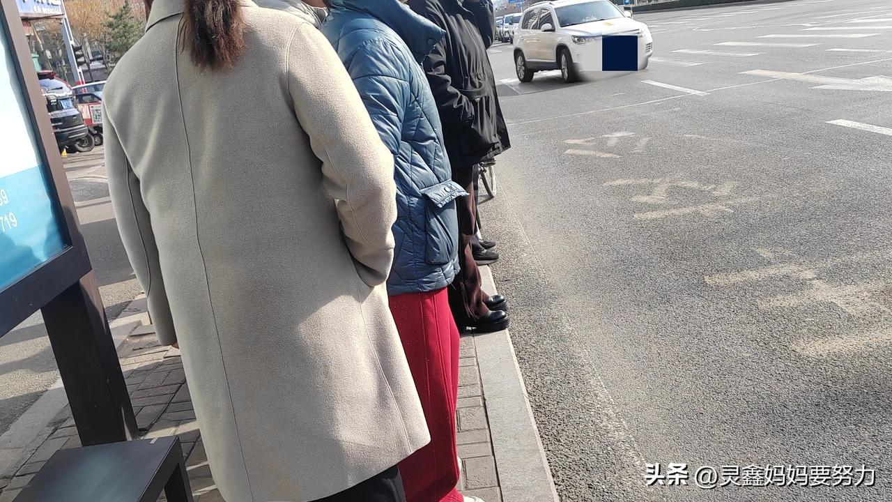 免费公交，差点儿没坐上，已经好久没坐过公交了，不知道路线，特意在网上找了路线图。