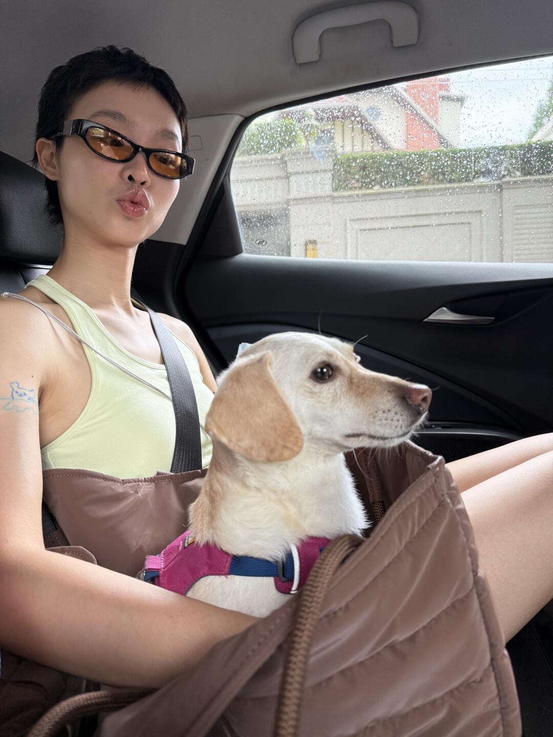 狗狗狗，出发咯🚗