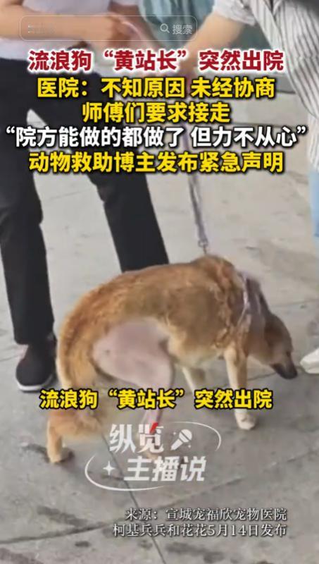 安徽宣城，一群收入大不如前的出租车司机，凑钱救了一只车祸重伤的流浪狗。这本该是个