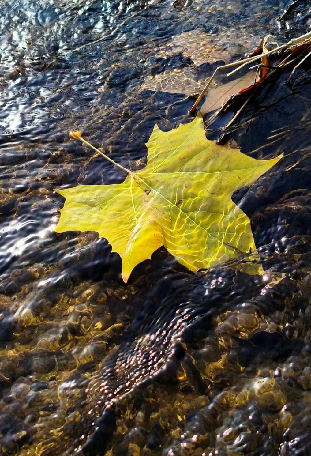 中国人着实善良且伟大。
12月8日22时，日本发生7.5级地震。即便日本对我们并
