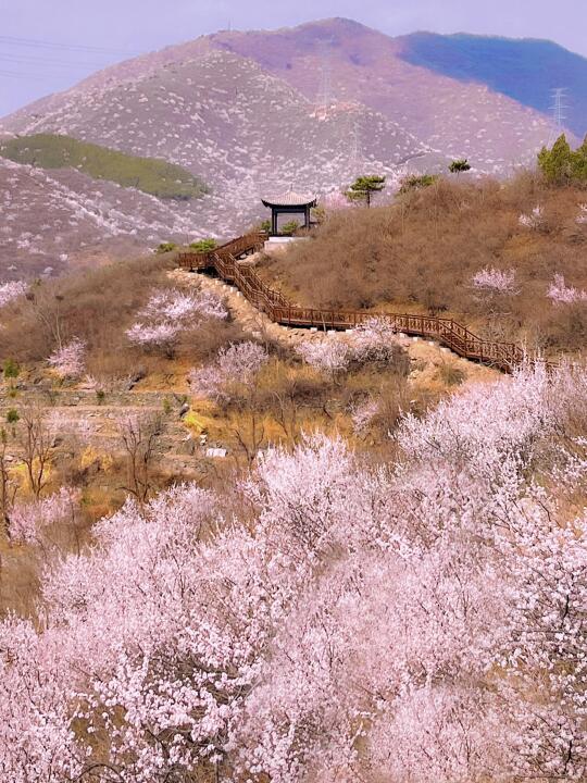 刚立春已经开始期待接下来的北京了！（合集）