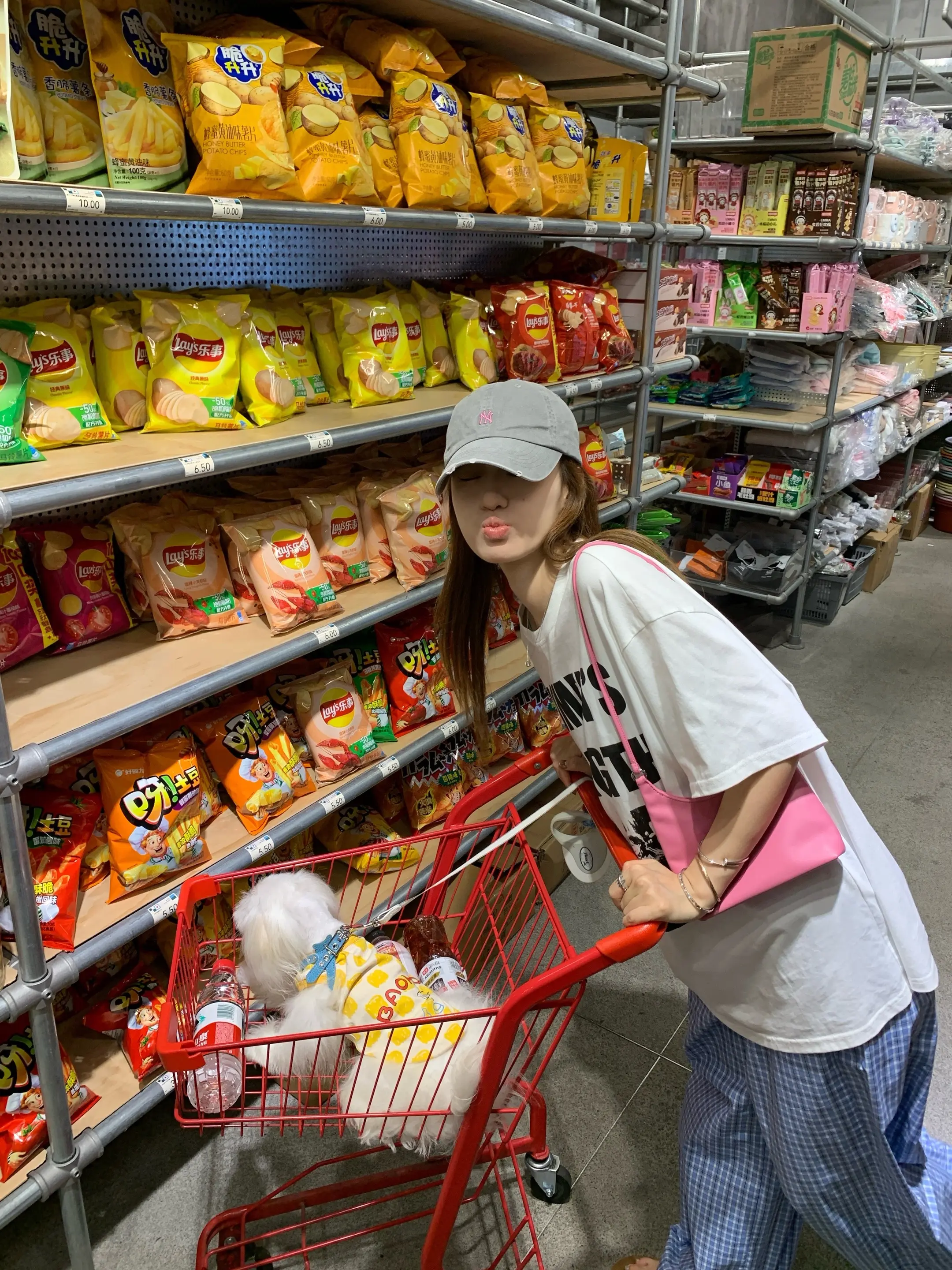 🐶🛒🍉
