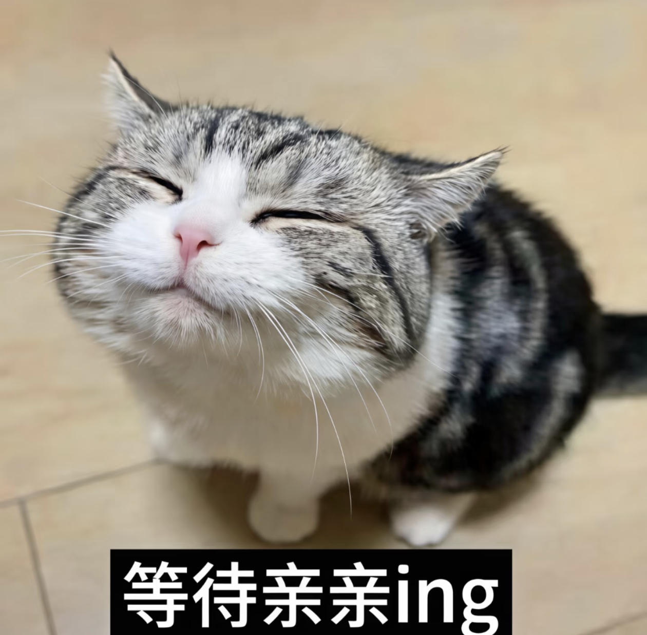 好喜欢这个e儿把眼睛笑得眯起来 ​​​