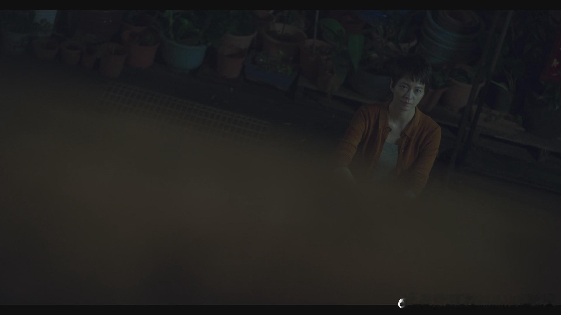 聪明镇 EP5-10 完结 摄影指导 刘至桓、李清迪一般 