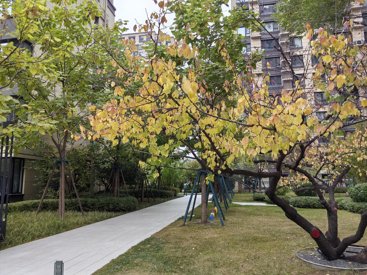 秋意浓——呼和浩特华润置地紫云府