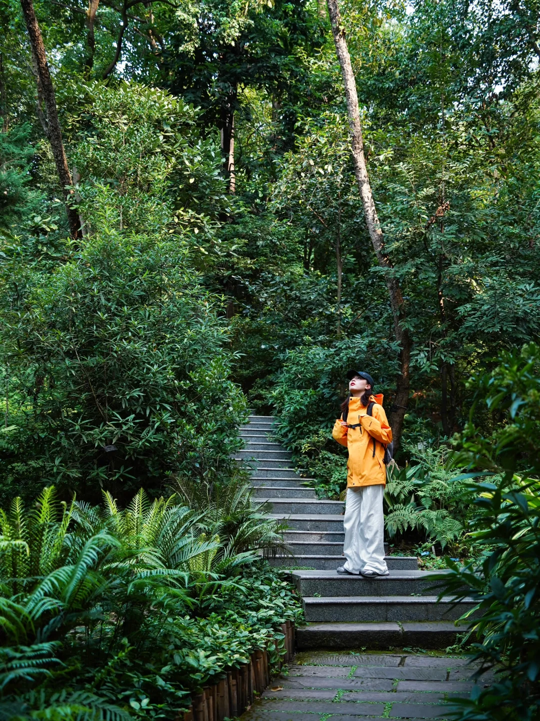 在成都！！唯一想去无数次的森林公园！！！