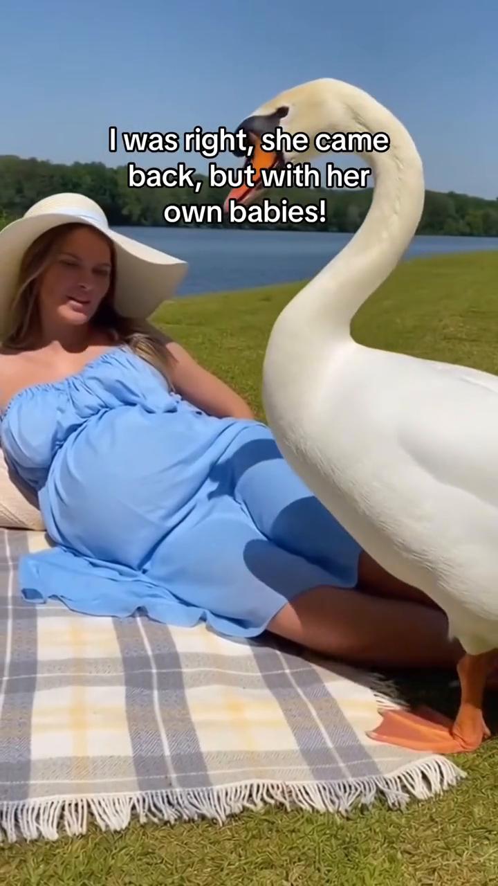 I left for 5 minutes and came back to th