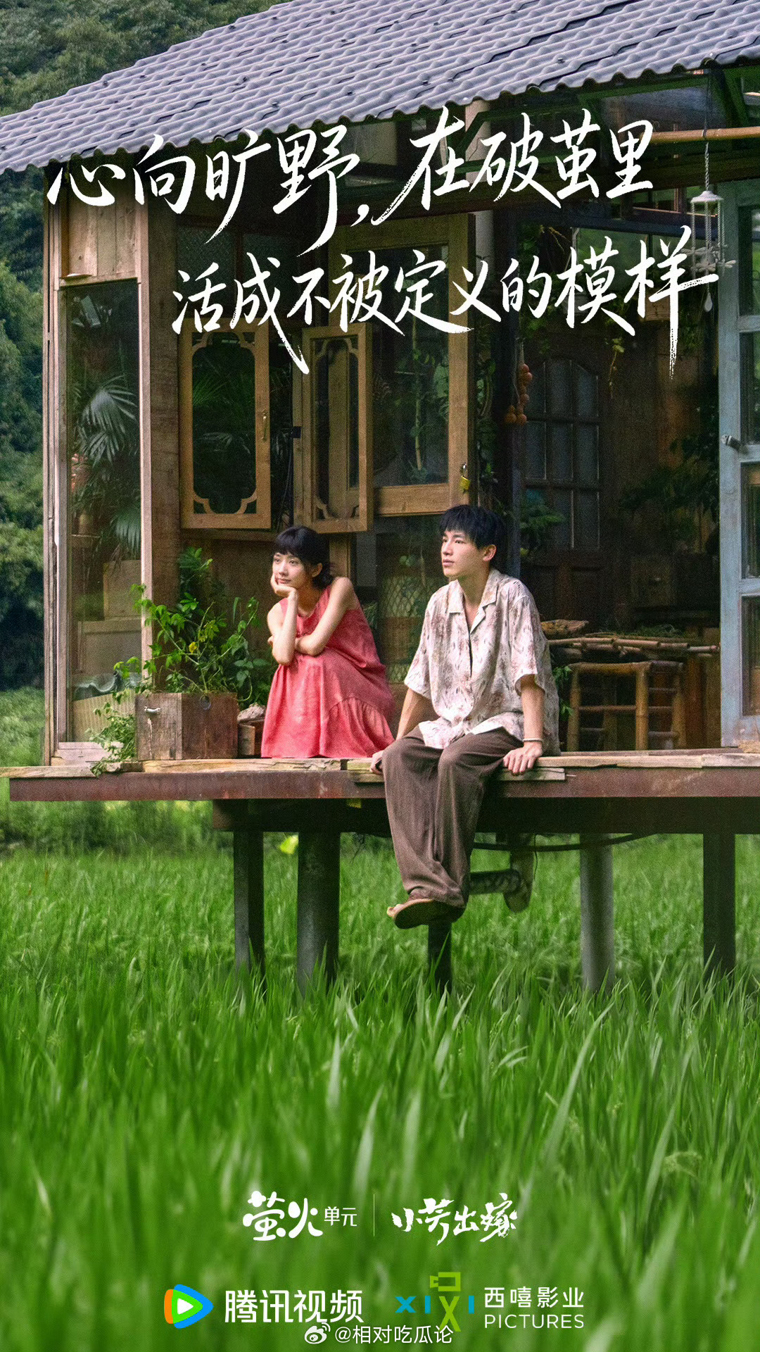 王影璐、辛云来《小芳出嫁》Q3 