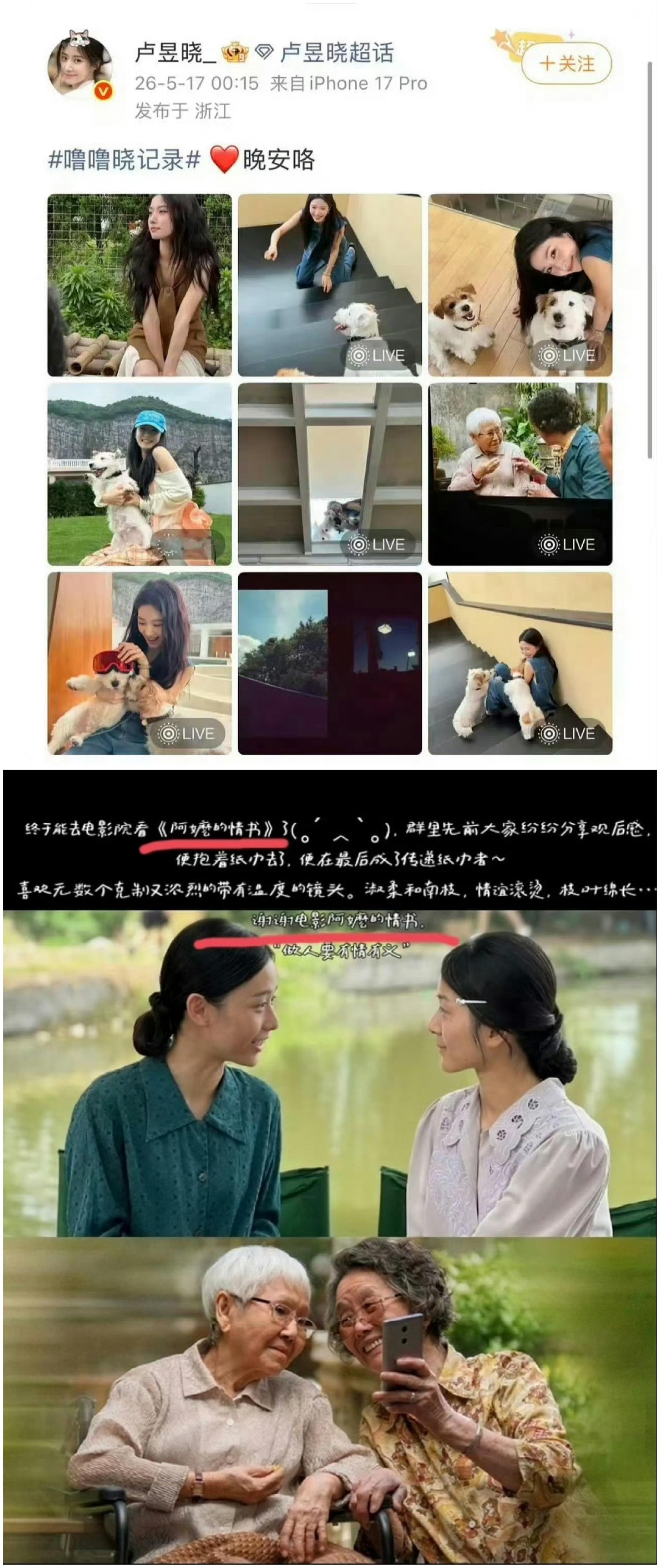 卢昱晓盗摄《给阿嬷的情书》，重新编辑还把电影名打错 