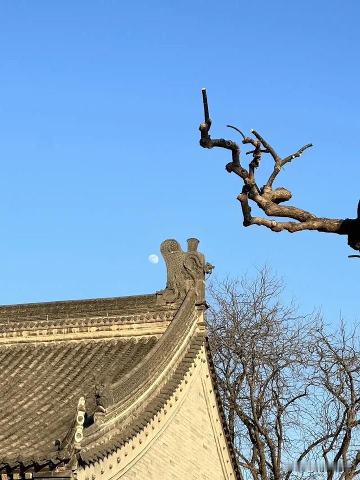 内向的人如何打开社交恐惧症？

看到一个很实用又简单的方法。

设定一个与社交互