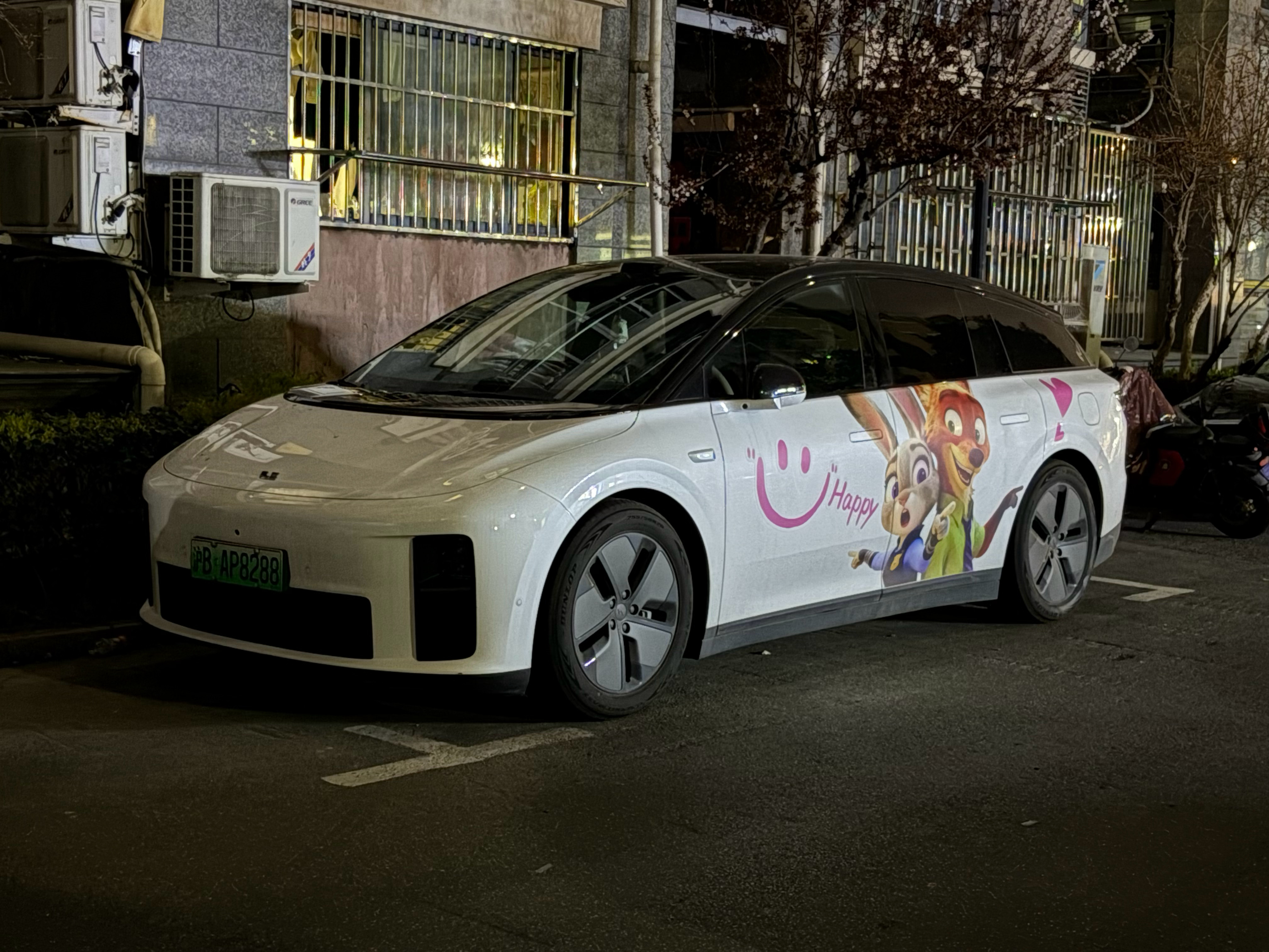 去山姆shopping，小朋友后排睡着了，领导在后排看电视，顺便照顾她，买来的东