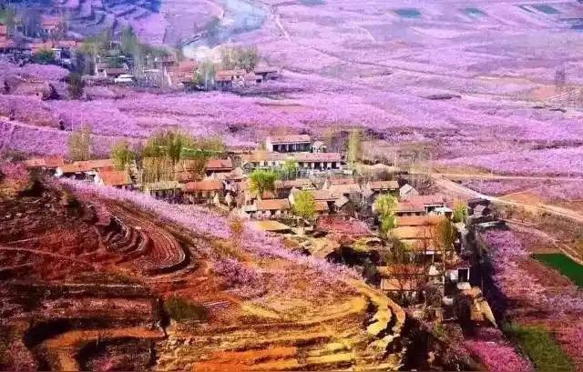 桃花映村居，春意满山川。