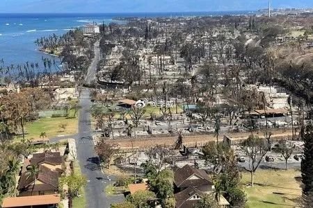 日本山火已经10天了，日网盛传阴谋论，疑遭美日资本“放火赶走本地人收地”日本最近