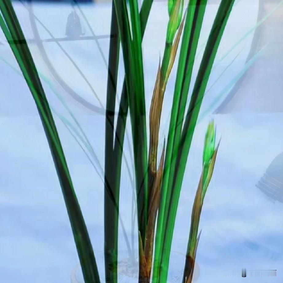 《零落》
高高花杆缀一串红红花蕾
以为她会绽开秀美
让我的心血不会白费

友情陪
