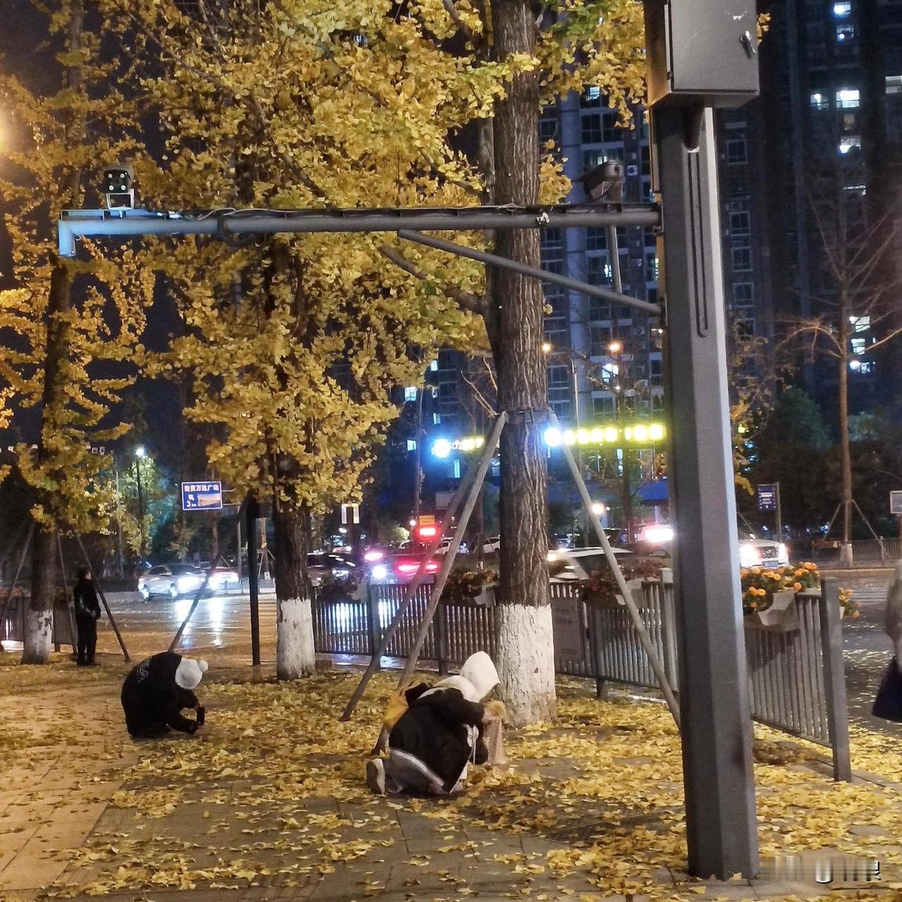 今天晚上8点左右

自贡丹桂大街的天空实在太壮观

不知道从那儿“冒出”阵阵大风