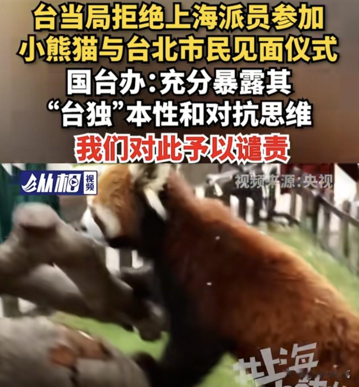 好家伙，大陆赠送小熊猫到了台北，29日要举行见面仪式，上海本来有派人去出席见面仪