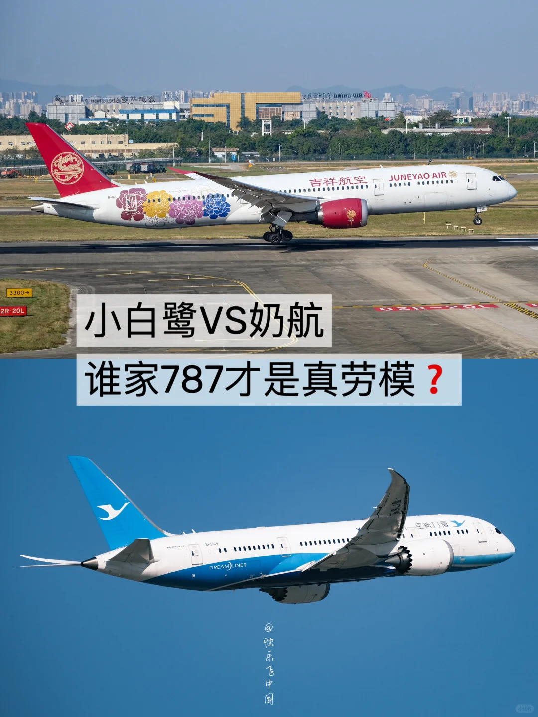 小白鹭VS奶航，谁家787才是真劳模❓